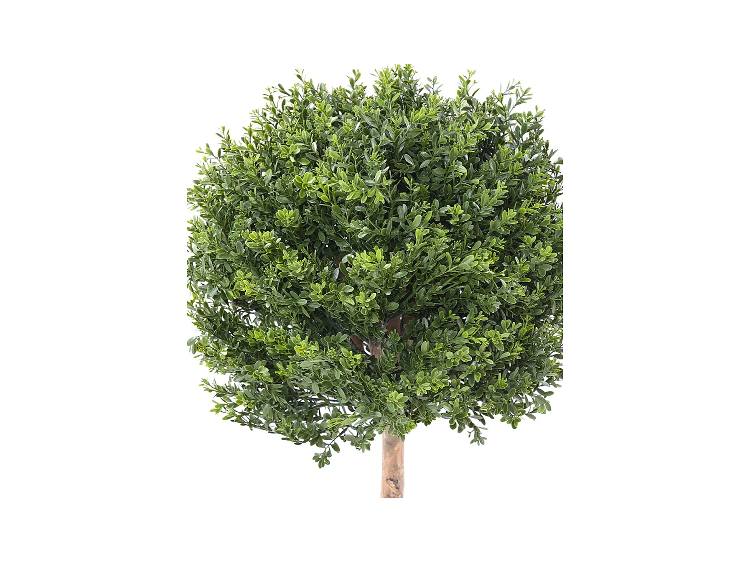 Plante artificielle haute gamme Spécial extérieur / Buis Artificiel coloris vert - Dim : 110 x 50 x 50 cm