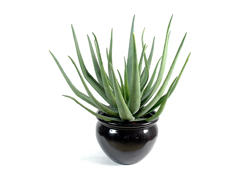 Plante artificielle haute gamme Spécial extérieur / Aloevera artificielle - Dim : 55 x 30 cm