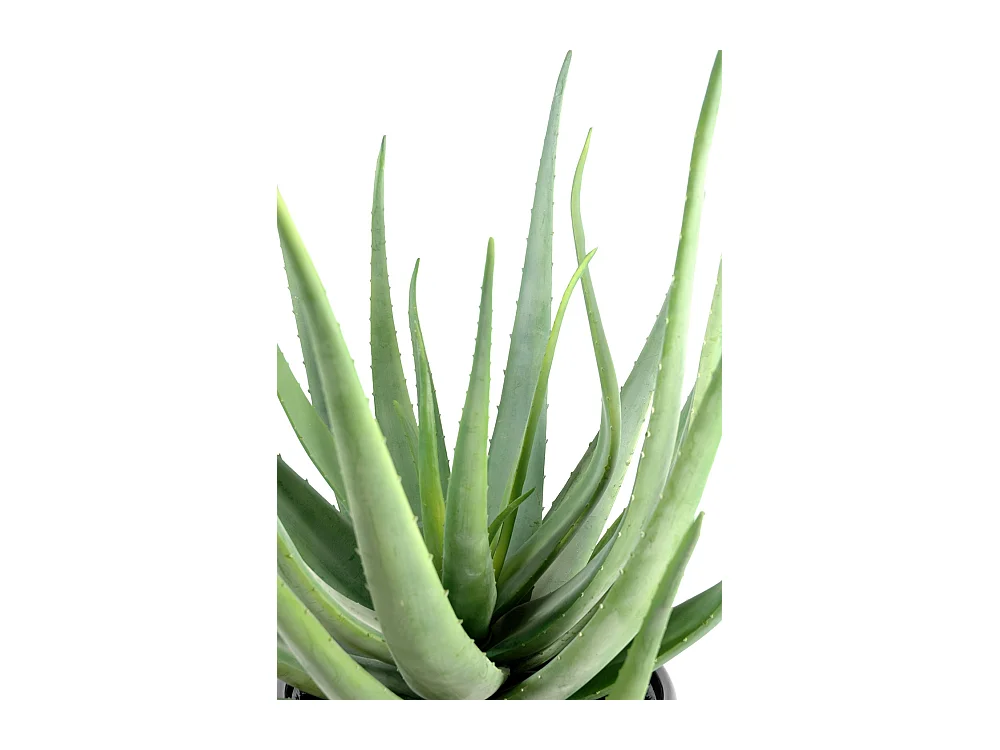 Plante artificielle haute gamme Spécial extérieur / Aloevera artificielle - Dim : 55 x 30 cm