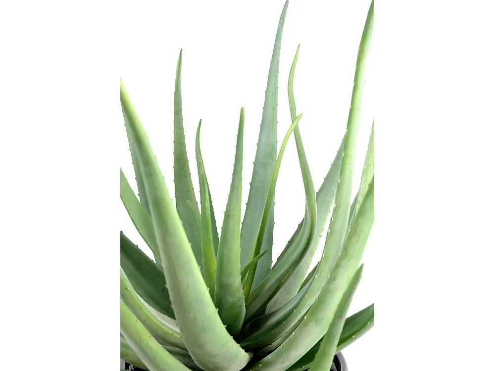 Plante artificielle haute gamme Spécial extérieur / Aloevera artificielle - Dim : 55 x 30 cm