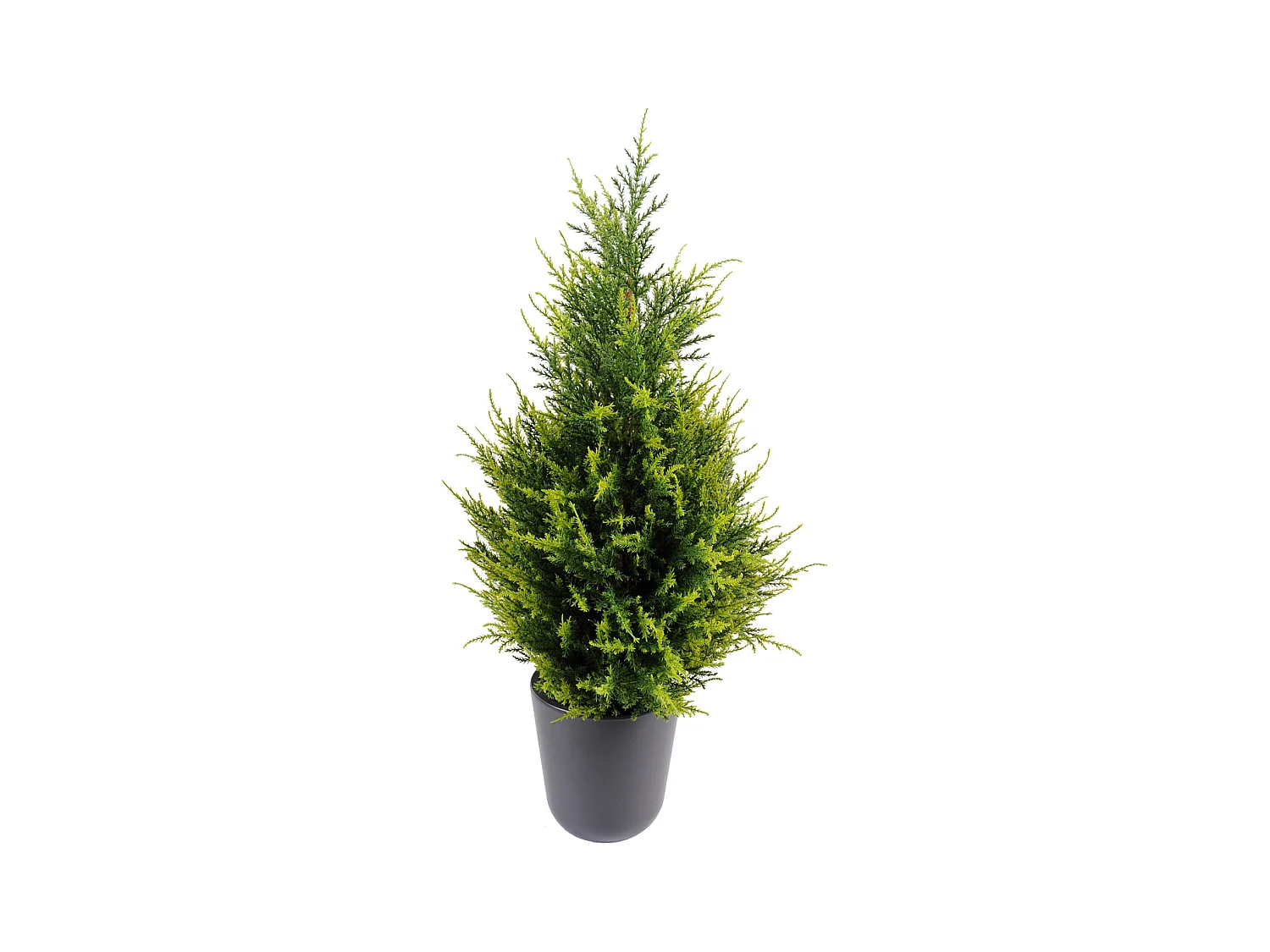 Plante artificielle haute gamme Spécial extérieur / Cypres Juniperus - Dim : 65 x 33 cm