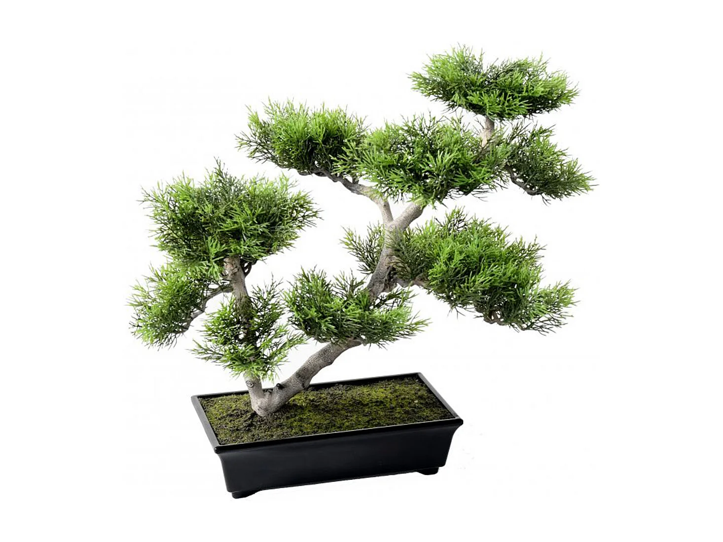 Plante artificielle haute gamme Spécial extérieur / PIN artificiel BONSAI - Dim : 42 x 48 cm