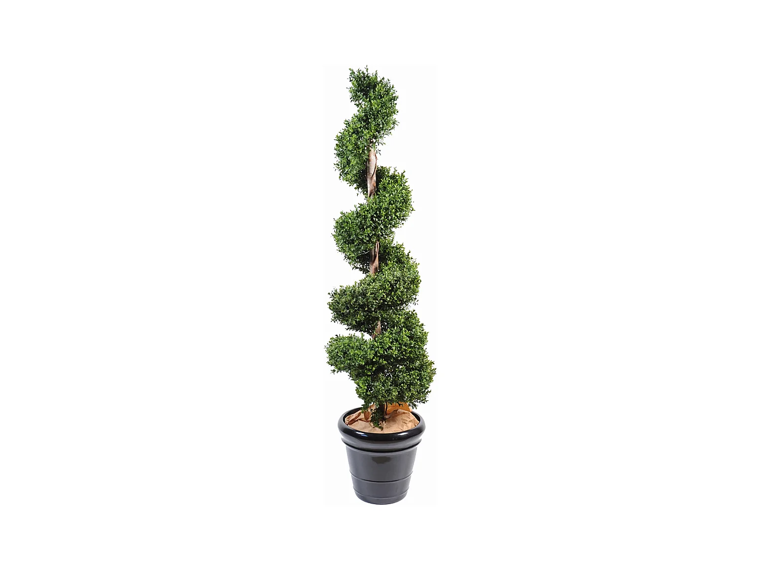 Plante artificielle haute gamme Spécial extérieur / Buis spirale artificiel - Dim : 140 x 45 cm