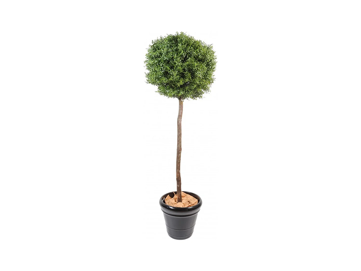 Plante Artificielle / Eucalyptus Artificiel Boule - Dim : 110 x 45 cm