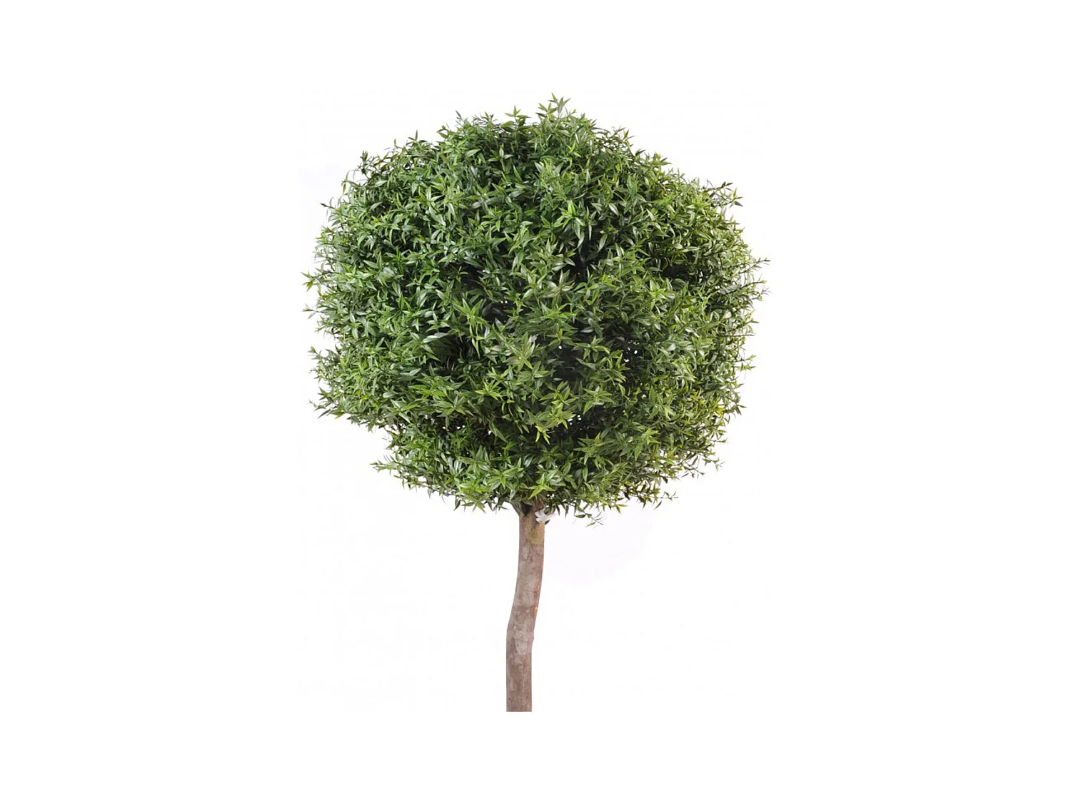Plante Artificielle / Eucalyptus Artificiel Boule - Dim : 110 x 45 cm