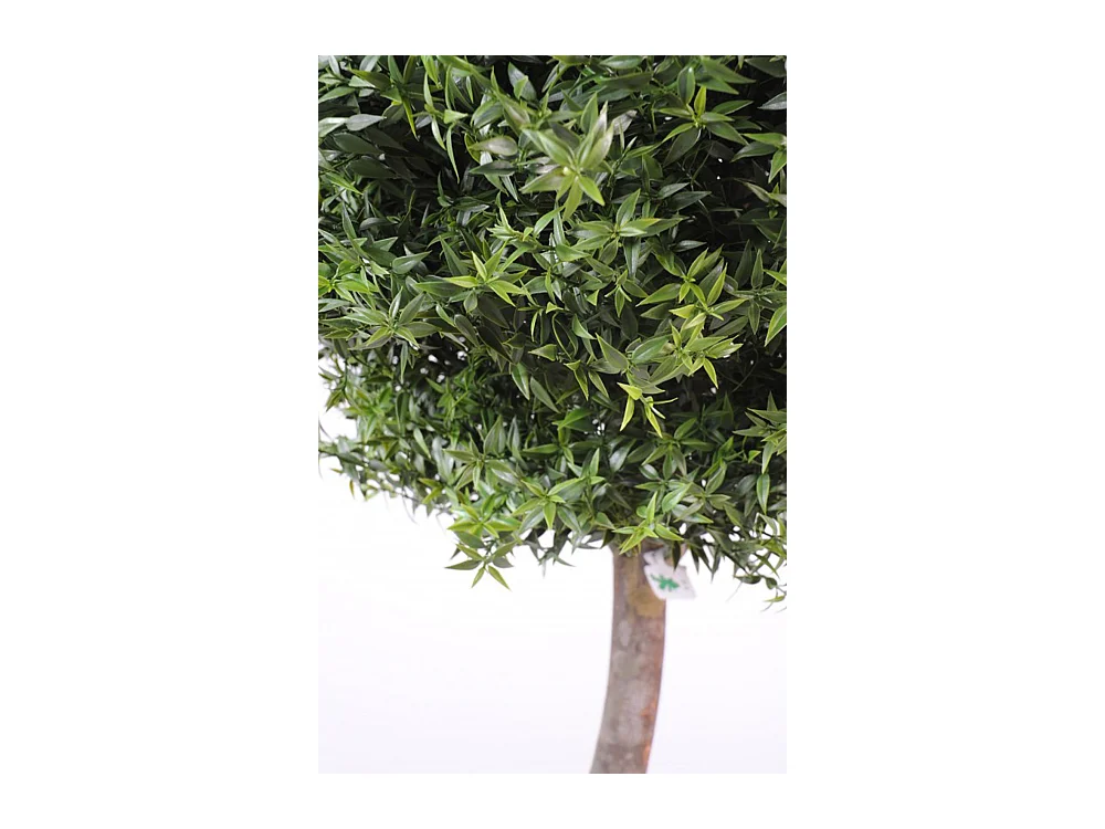 Plante Artificielle / Eucalyptus Artificiel Boule - Dim : 110 x 45 cm