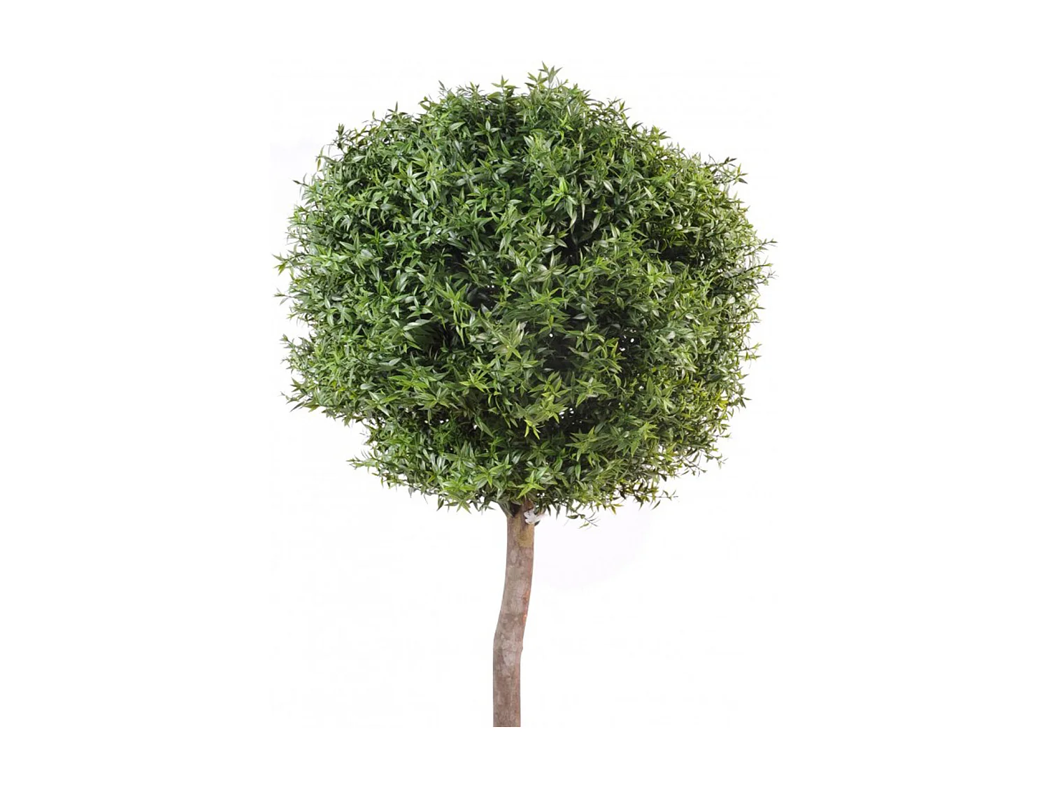 Plante Artificielle / Eucalyptus Artificiel Boule - Dim : 110 x 45 cm