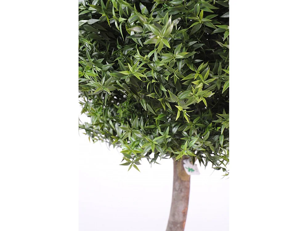 Plante Artificielle / Eucalyptus Artificiel Boule - Dim : 110 x 45 cm