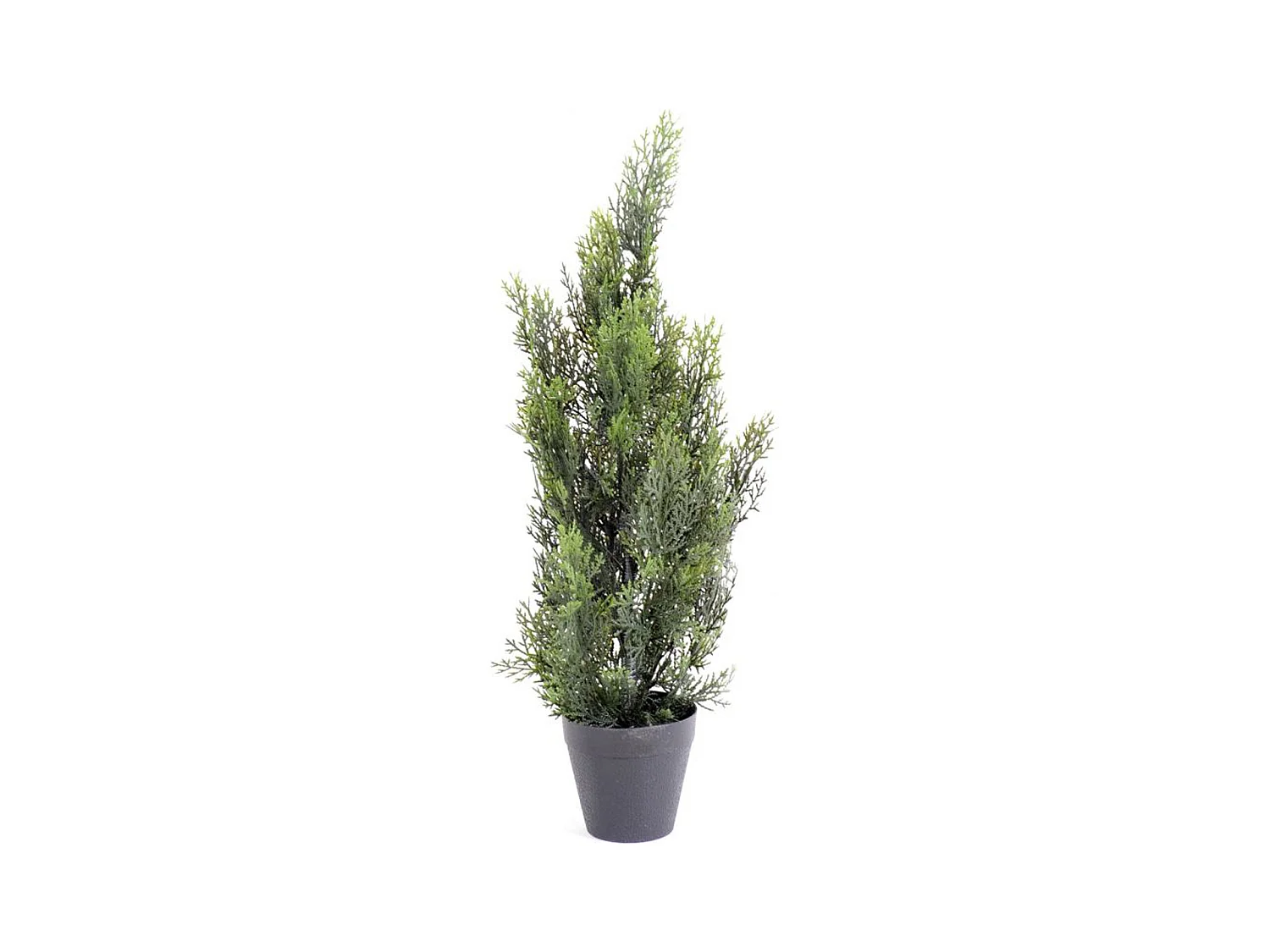 Plante artificielle haute gamme Spécial extérieur / Cyprès artificiel Mini Vert - Dim : 60 x 20 cm