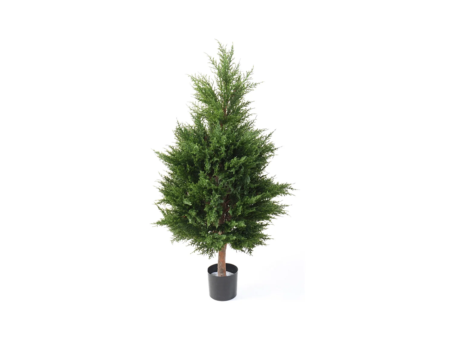 Plante artificielle haute gamme Spécial extérieur / CYPRES coloris vert - Dim : 105 x 57 cm