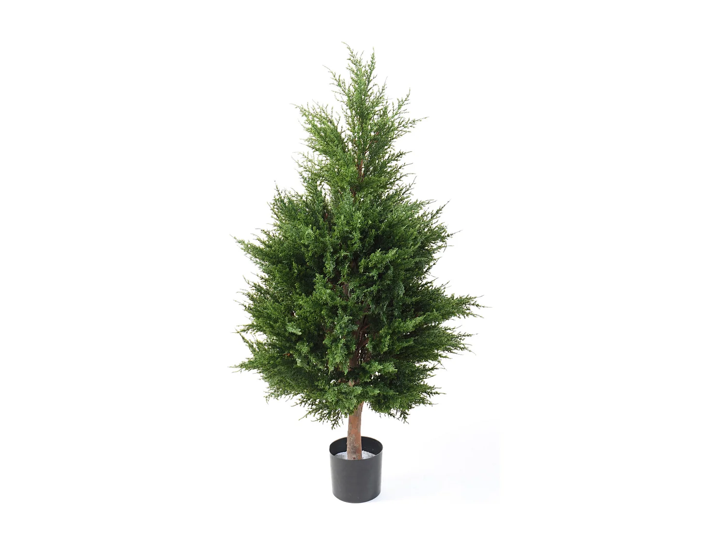 Plante artificielle haute gamme Spécial extérieur / CYPRES coloris vert - Dim : 105 x 57 cm