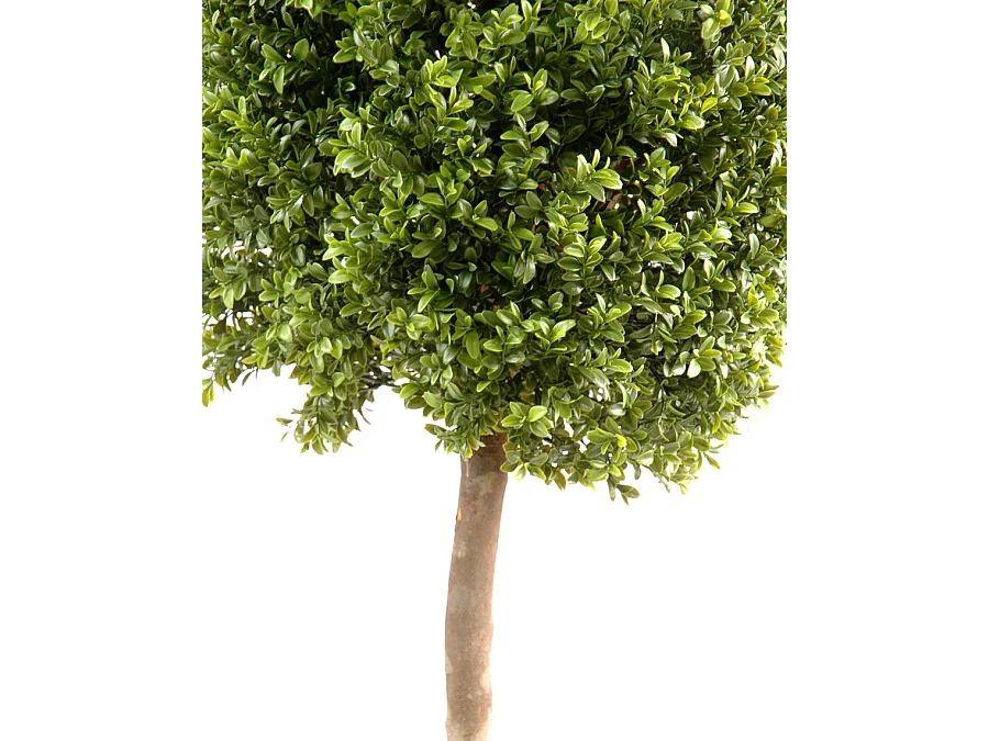 Plante artificielle haute gamme Spécial extérieur / Buis boule coloris vert - Dim : H.170 x D.60 cm