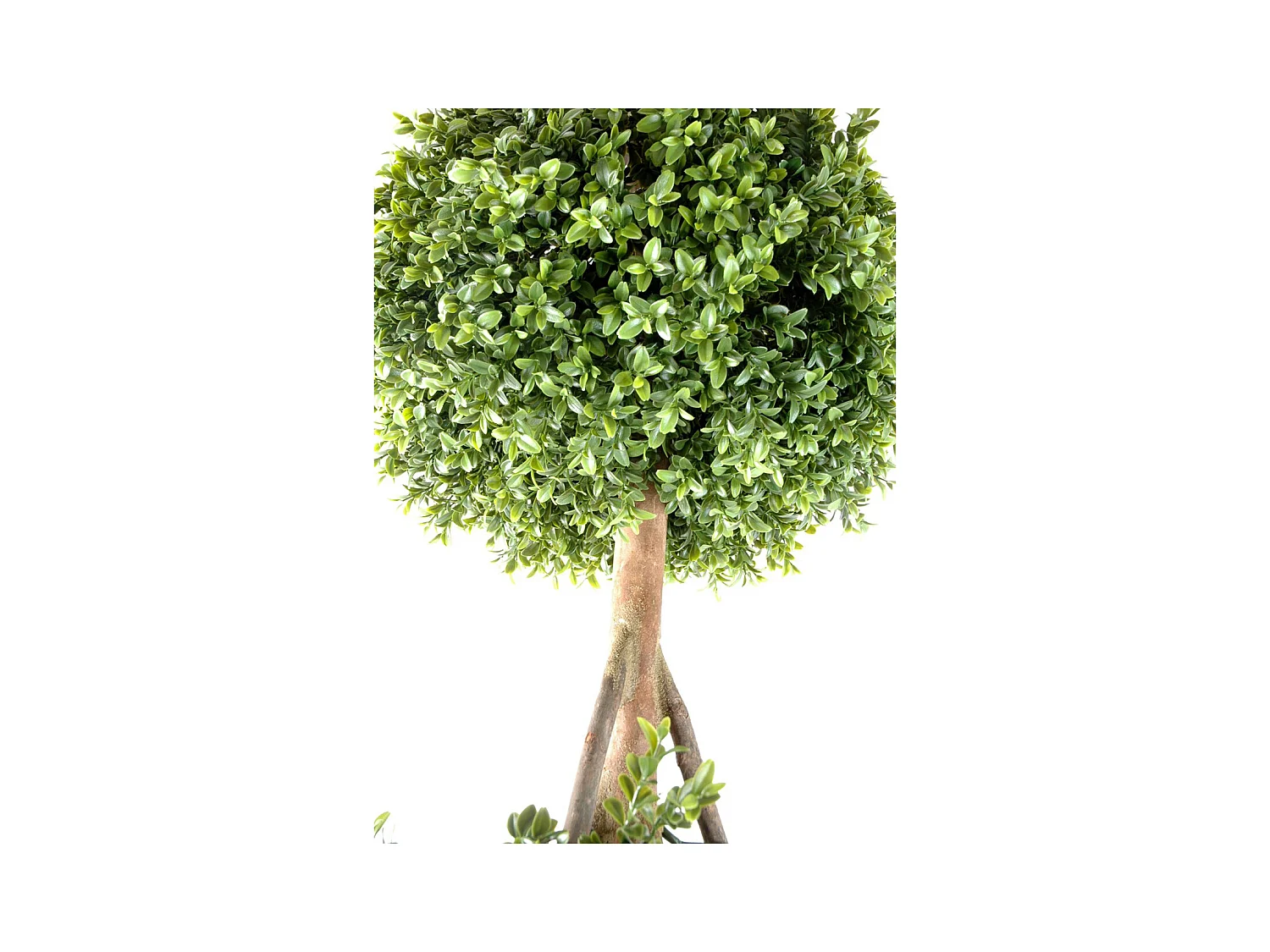 Plante artificielle haute gamme Spécial extérieur / Buis tige double boule - Dim : H.140 x D.40 cm