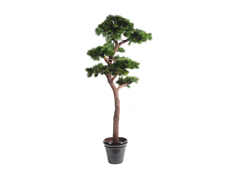 Plante artificielle haute gamme Spécial extérieur / PIN artificiel BONSAI UV - Dim : 220 x 120 cm