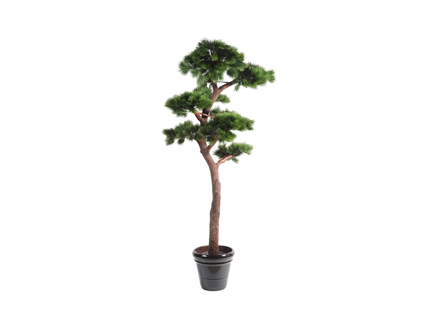 Plante artificielle haute gamme Spécial extérieur / PIN artificiel BONSAI UV - Dim : 220 x 120 cm