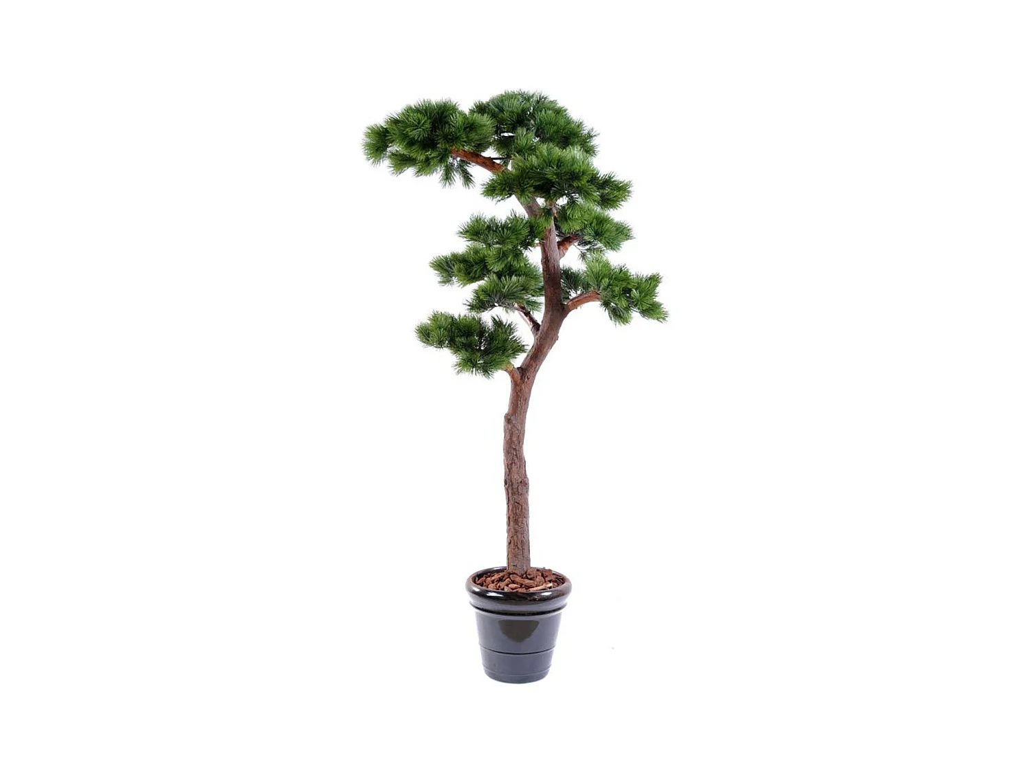 Plante artificielle haute gamme Spécial extérieur / PIN artificiel BONSAI UV - Dim : 220 x 120 cm
