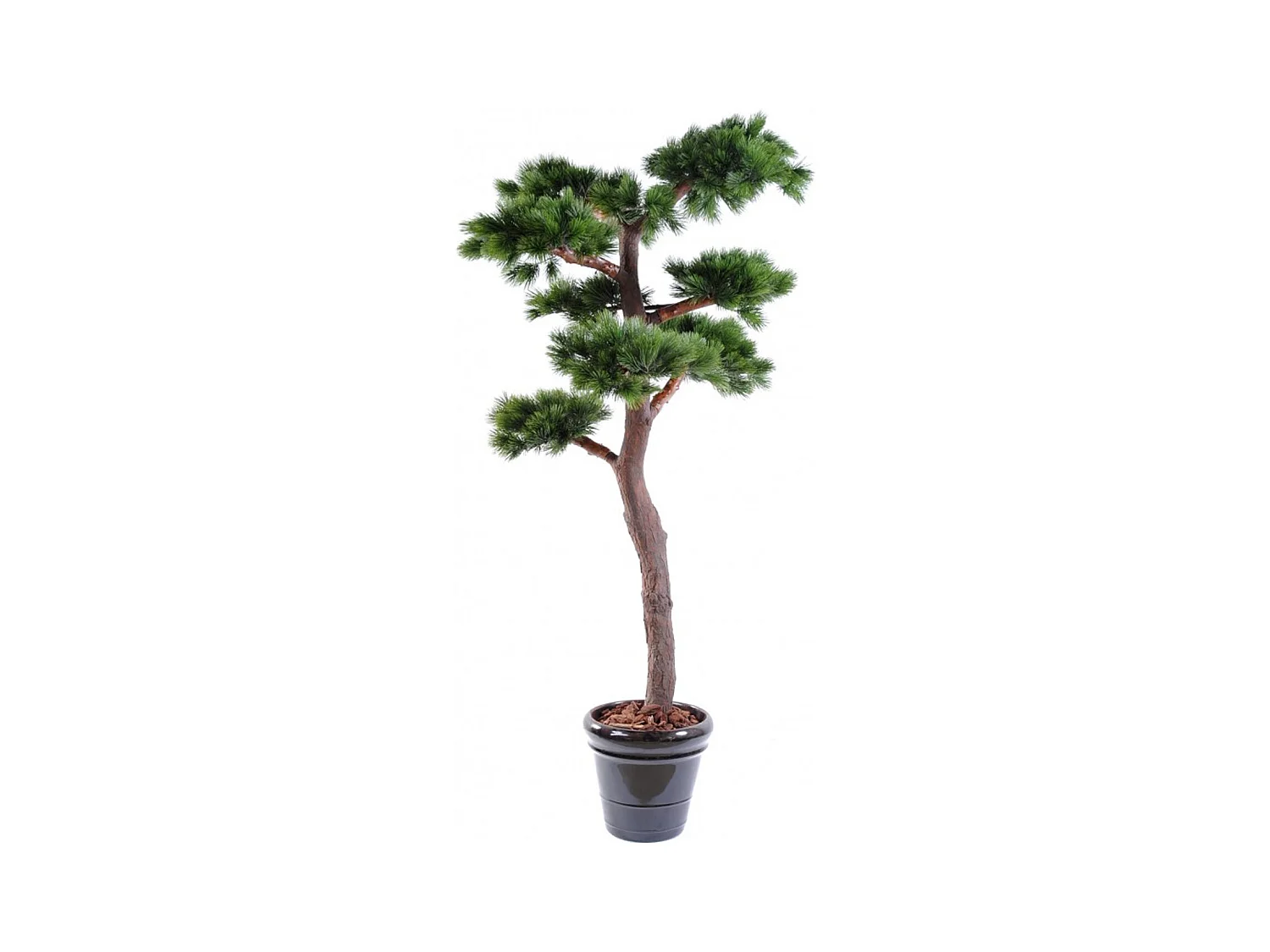 Plante artificielle haute gamme Spécial extérieur / PIN artificiel BONSAI UV - Dim : 220 x 120 cm