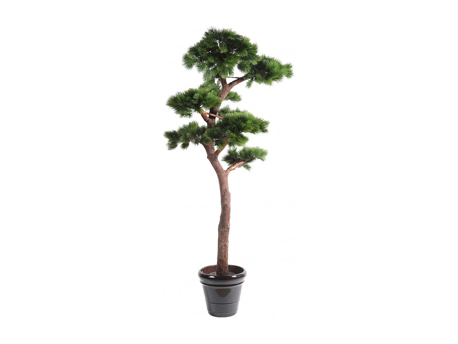 Plante artificielle haute gamme Spécial extérieur / PIN artificiel BONSAI UV - Dim : 220 x 120 cm