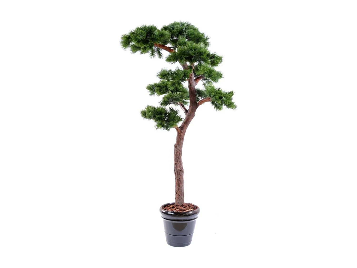 Plante artificielle haute gamme Spécial extérieur / PIN artificiel BONSAI UV - Dim : 220 x 120 cm