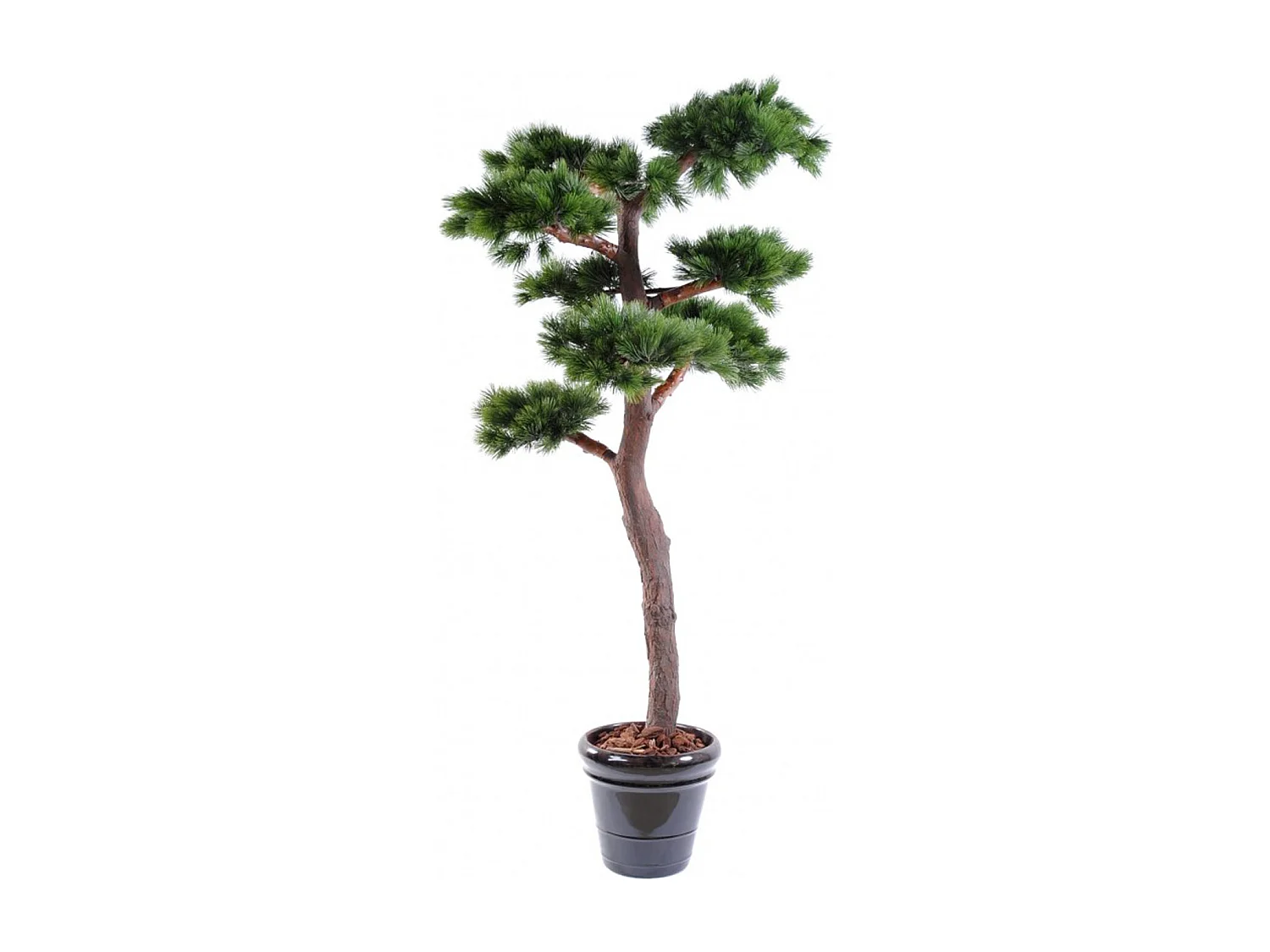 Plante artificielle haute gamme Spécial extérieur / PIN artificiel BONSAI UV - Dim : 220 x 120 cm