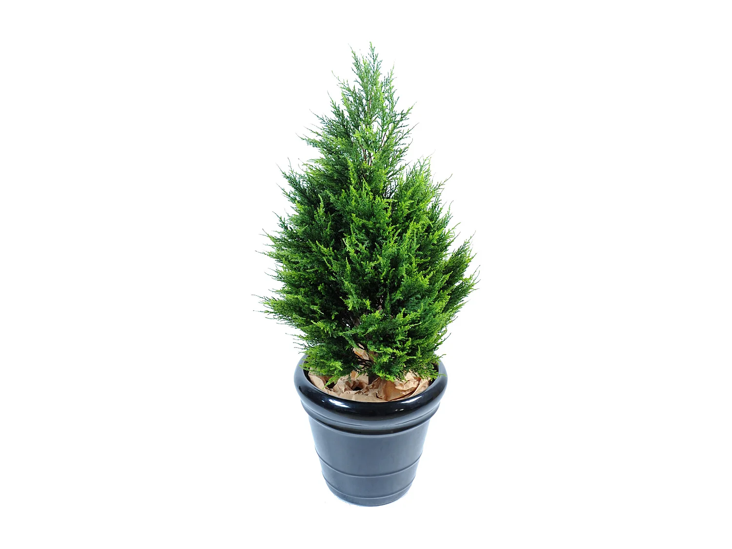 Plante artificielle haute gamme Spécial extérieur / Cyprès Junipérus Artificiel - Dim : 105 x 57 cm