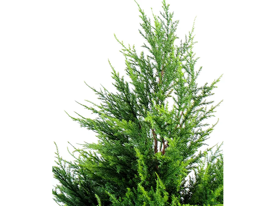 Plante artificielle haute gamme Spécial extérieur / Cyprès Junipérus Artificiel - Dim : 105 x 57 cm