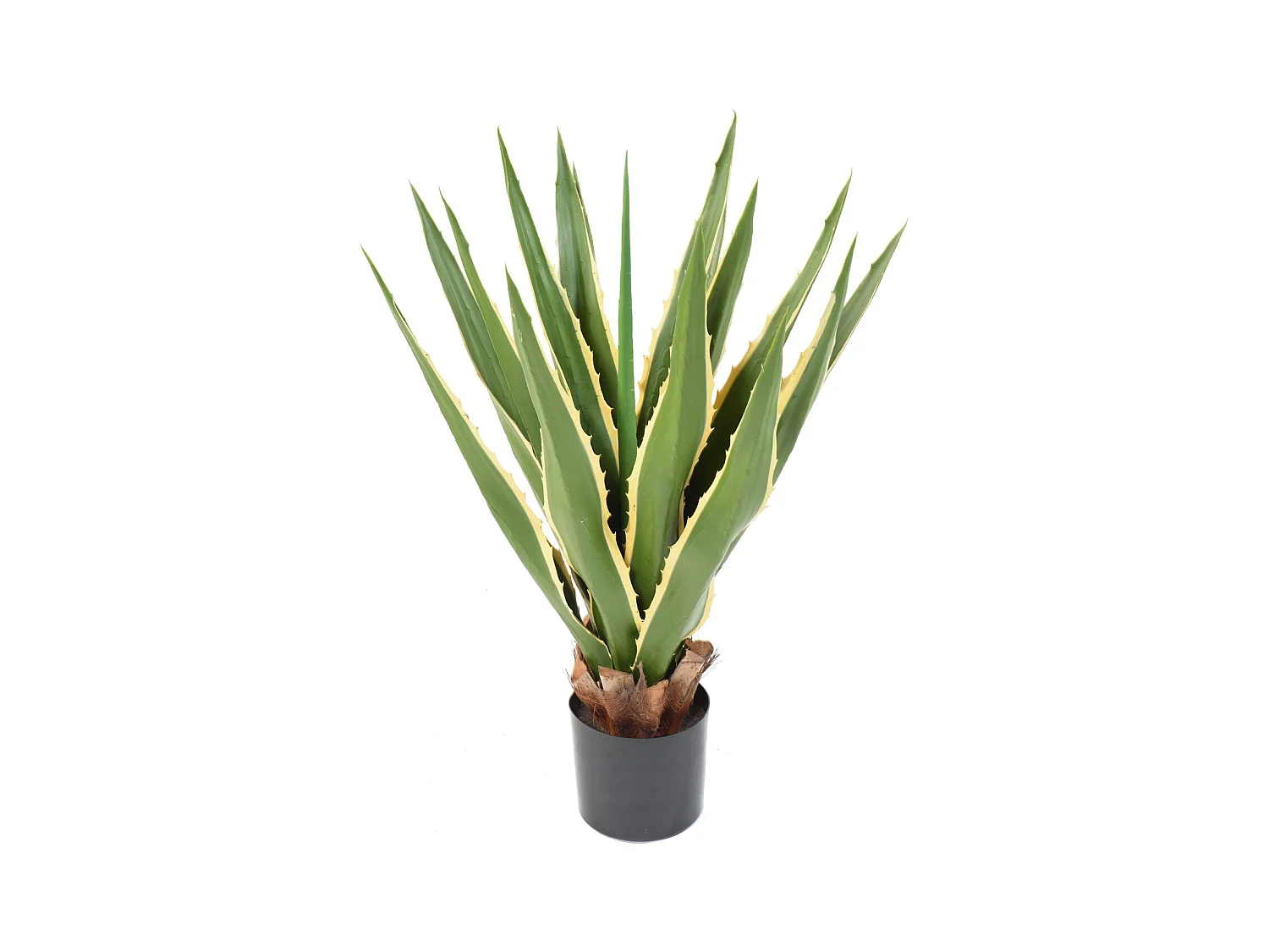 Plante artificielle haute gamme Spécial extérieur / AGAVE FURCRAEA - Dim : 80 x 60 cm