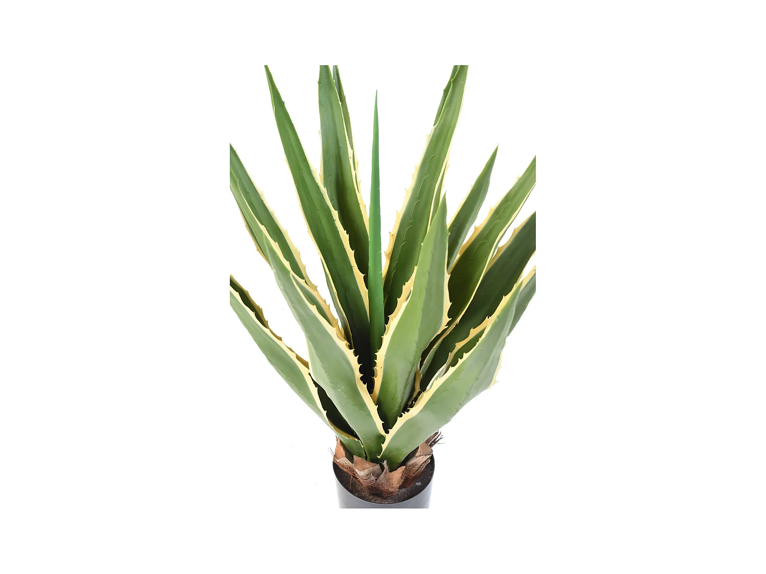 Plante artificielle haute gamme Spécial extérieur / AGAVE FURCRAEA - Dim : 80 x 60 cm