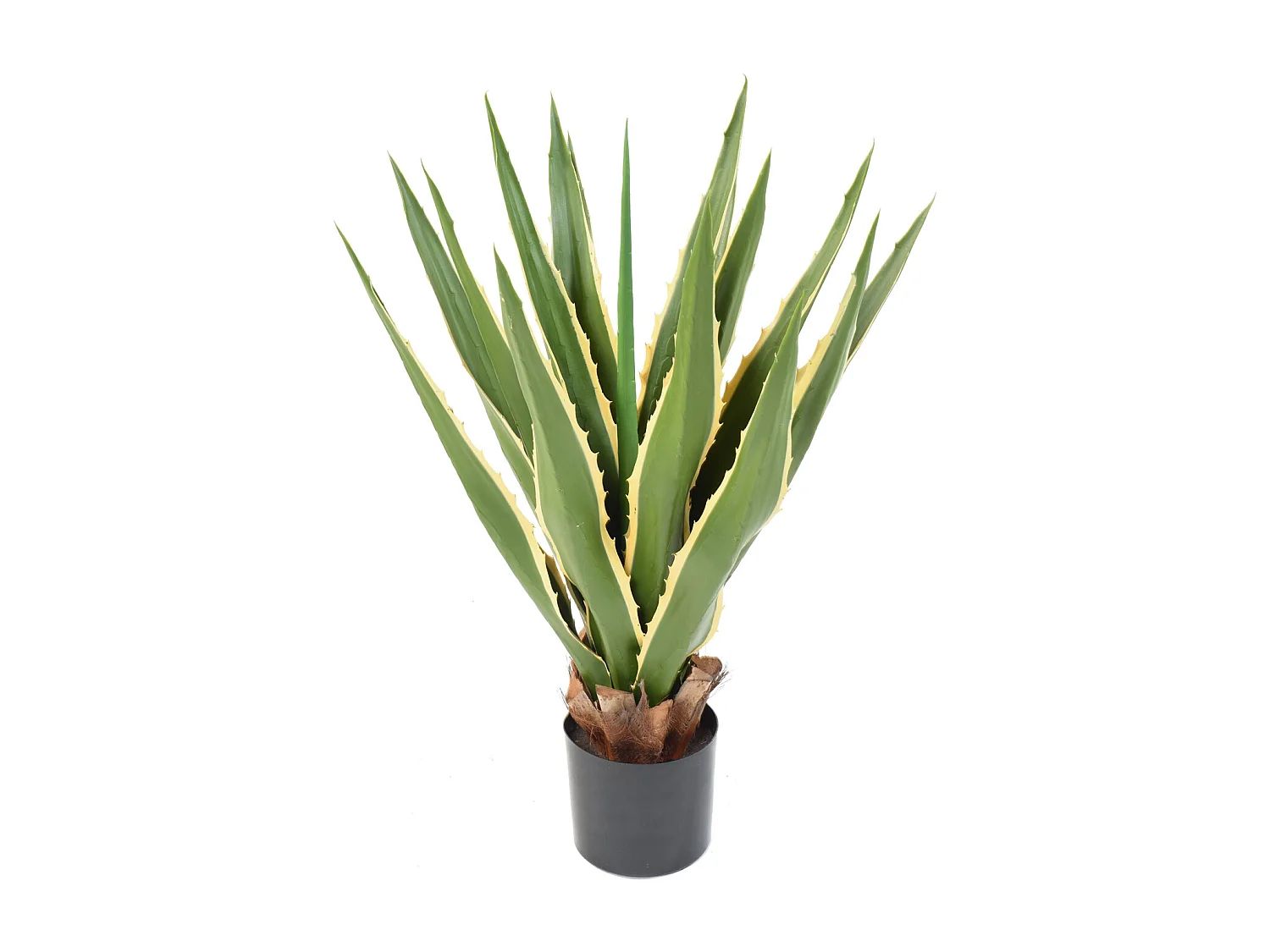 Plante artificielle haute gamme Spécial extérieur / AGAVE FURCRAEA - Dim : 80 x 60 cm