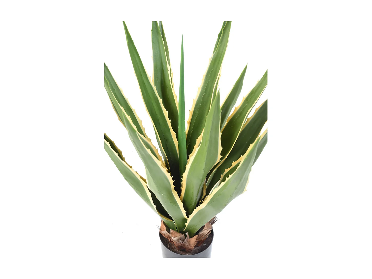 Plante artificielle haute gamme Spécial extérieur / AGAVE FURCRAEA - Dim : 80 x 60 cm