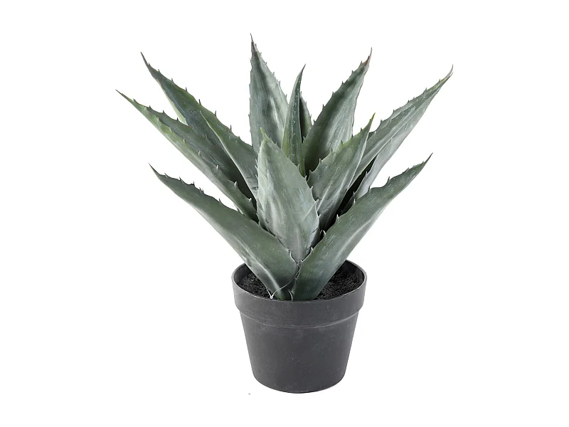 Plante artificielle haute gamme Spécial extérieur / AGAVE artificielle - Dim : 43 x 45 cm