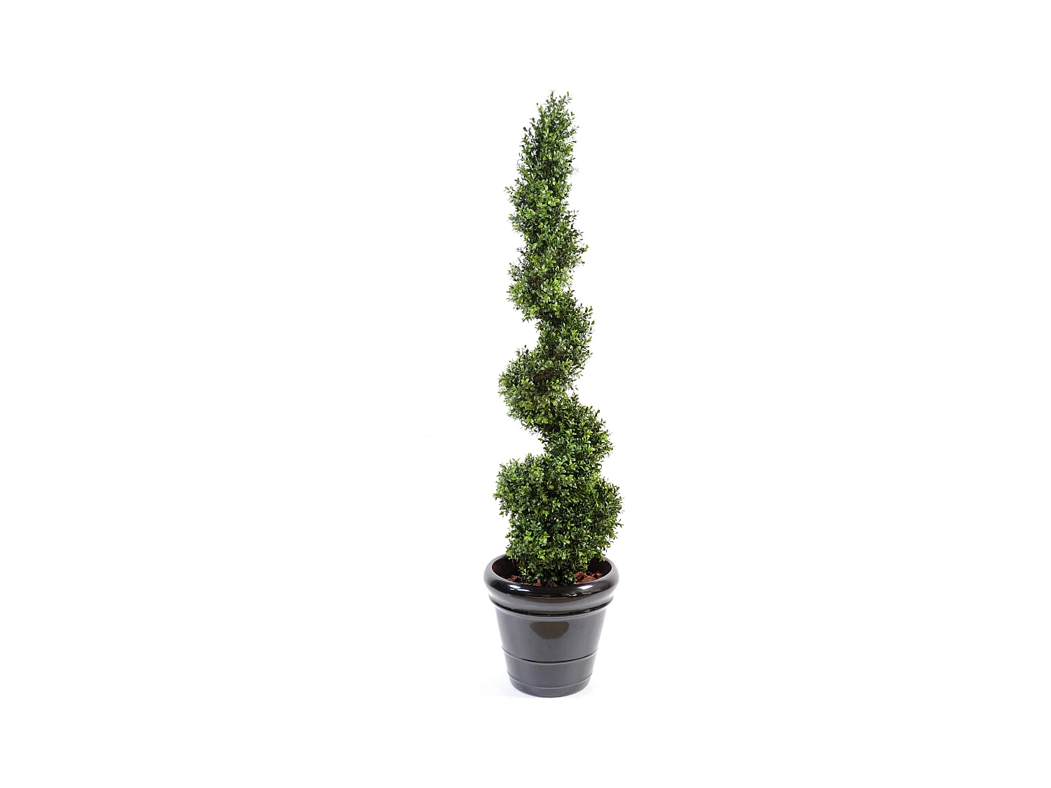 Plante artificielle haute gamme Spécial extérieur / Buis Artificiel forme Spirale - Dim : 130 x 35 cm