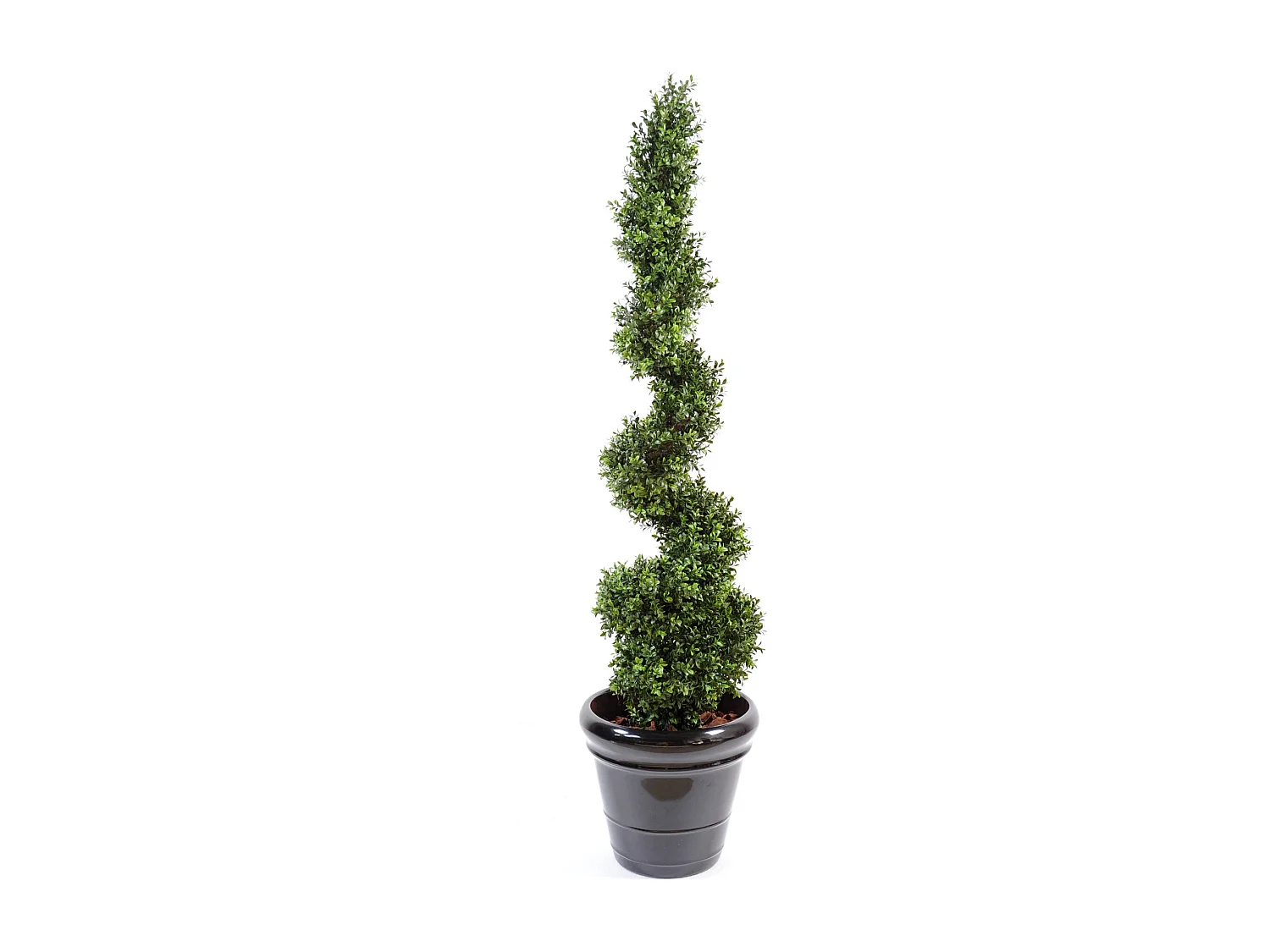 Plante artificielle haute gamme Spécial extérieur / Buis Artificiel forme Spirale - Dim : 130 x 35 cm
