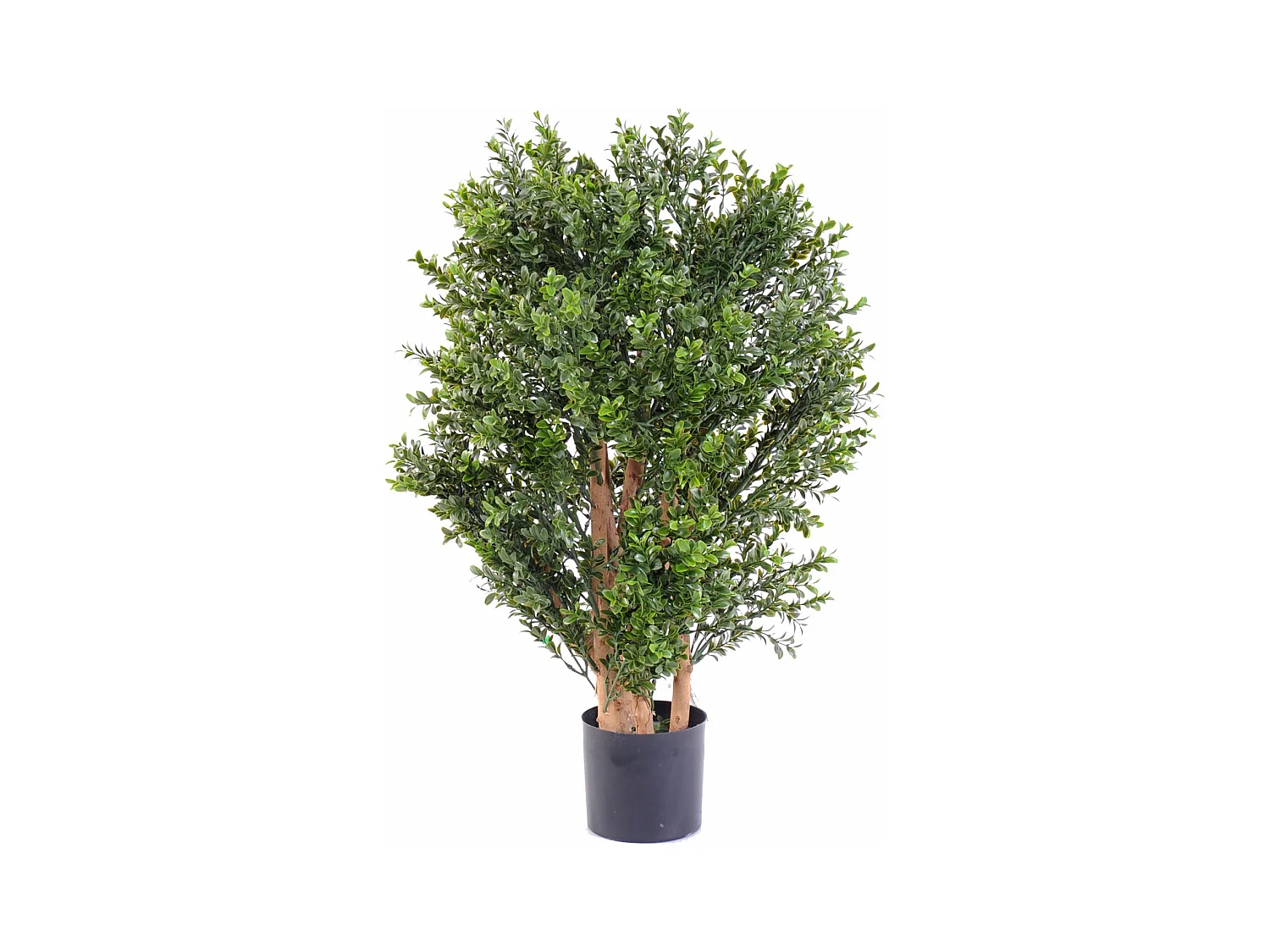 Plante artificielle haute gamme Spécial extérieur / BUIS Artificiel Buisson UV - Dim : 70 x 50 cm