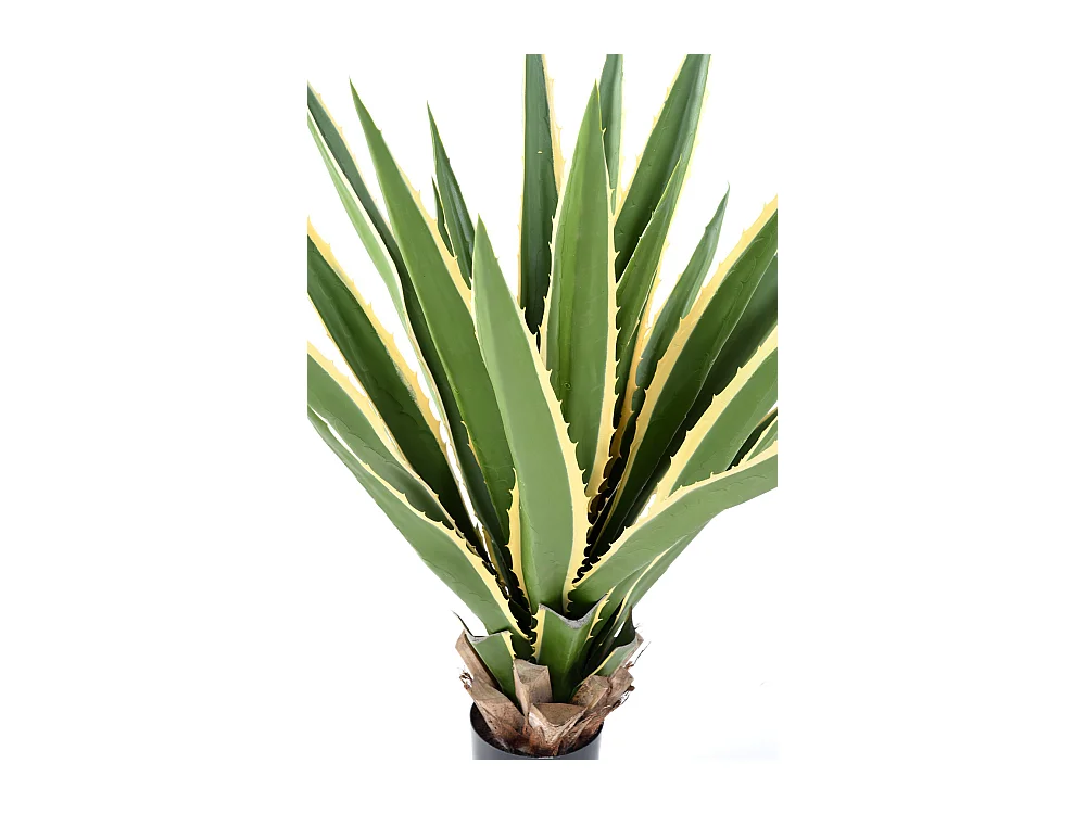Plante artificielle haute gamme Spécial extérieur / AGAVE artificielle FURCRAEA - Dim : 110 x 90 cm