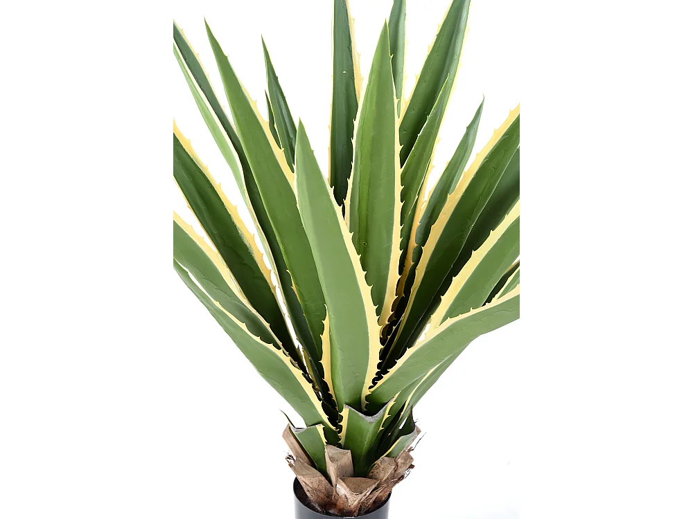 Plante artificielle haute gamme Spécial extérieur / AGAVE artificielle FURCRAEA - Dim : 110 x 90 cm