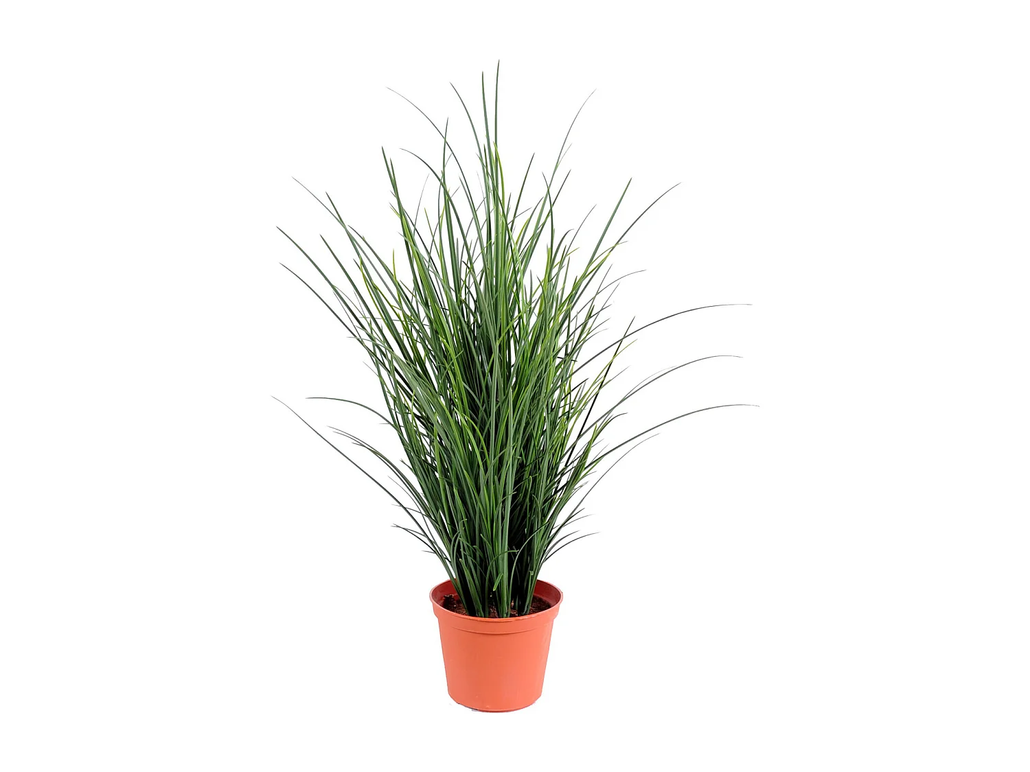Plante artificielle haute gamme Spécial extérieur / Herbe artificielle - Dim : 60 x 15 cm