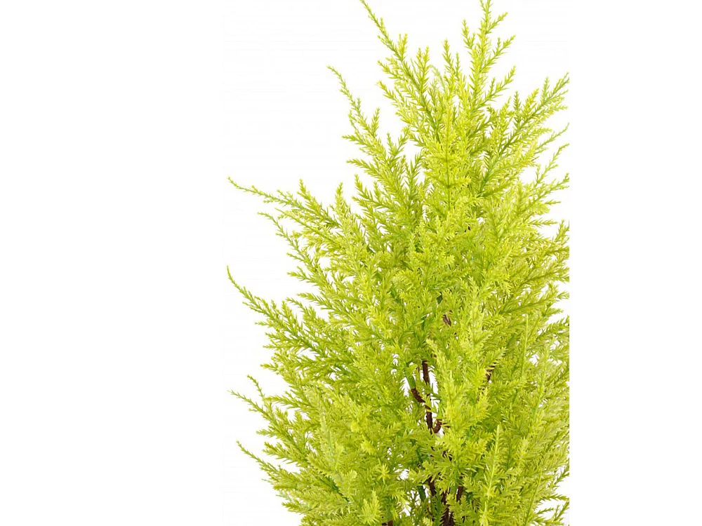 Plante Artificielle / Junipérus Artificiel Vert /Jaune - Dim : 55 x 15 cm