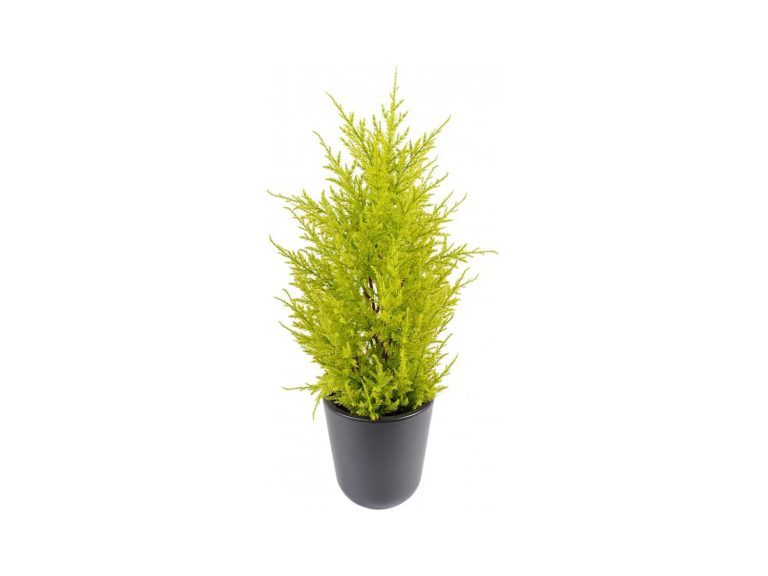 Plante Artificielle / Junipérus Artificiel Vert /Jaune - Dim : 55 x 15 cm