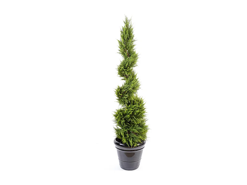 Plante artificielle haute gamme Spécial extérieur /Cyprès Artificiel Juniperus Fome Spirale - Dim : 160 x 55 cm