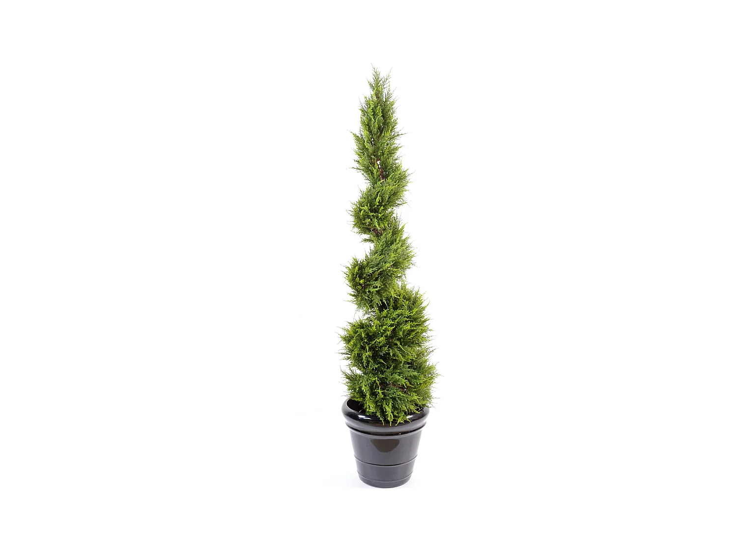 Plante artificielle haute gamme Spécial extérieur /Cyprès Artificiel Juniperus Fome Spirale - Dim : 160 x 55 cm