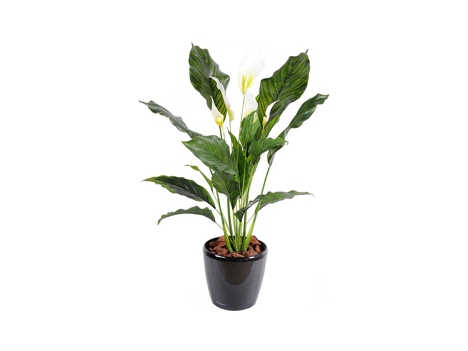 Plante artificielle haute gamme Spécial extérieur / SPATHIPHYLLUM Artificiel - Dim : 80 x 50 cm