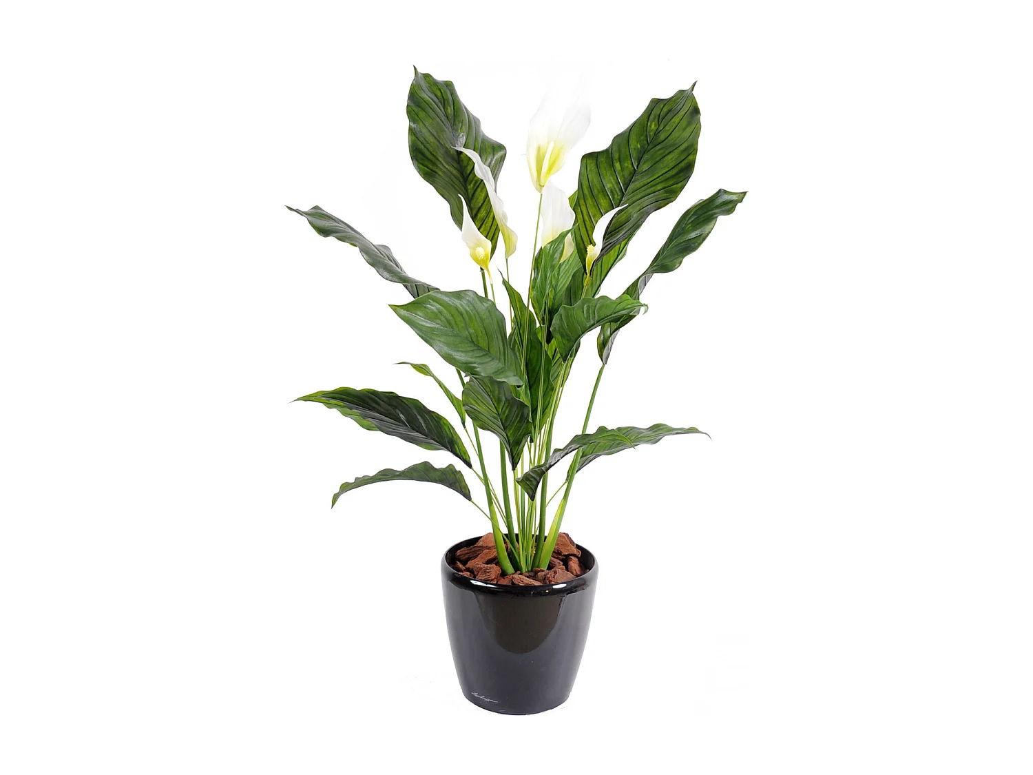 Plante artificielle haute gamme Spécial extérieur / SPATHIPHYLLUM Artificiel - Dim : 80 x 50 cm