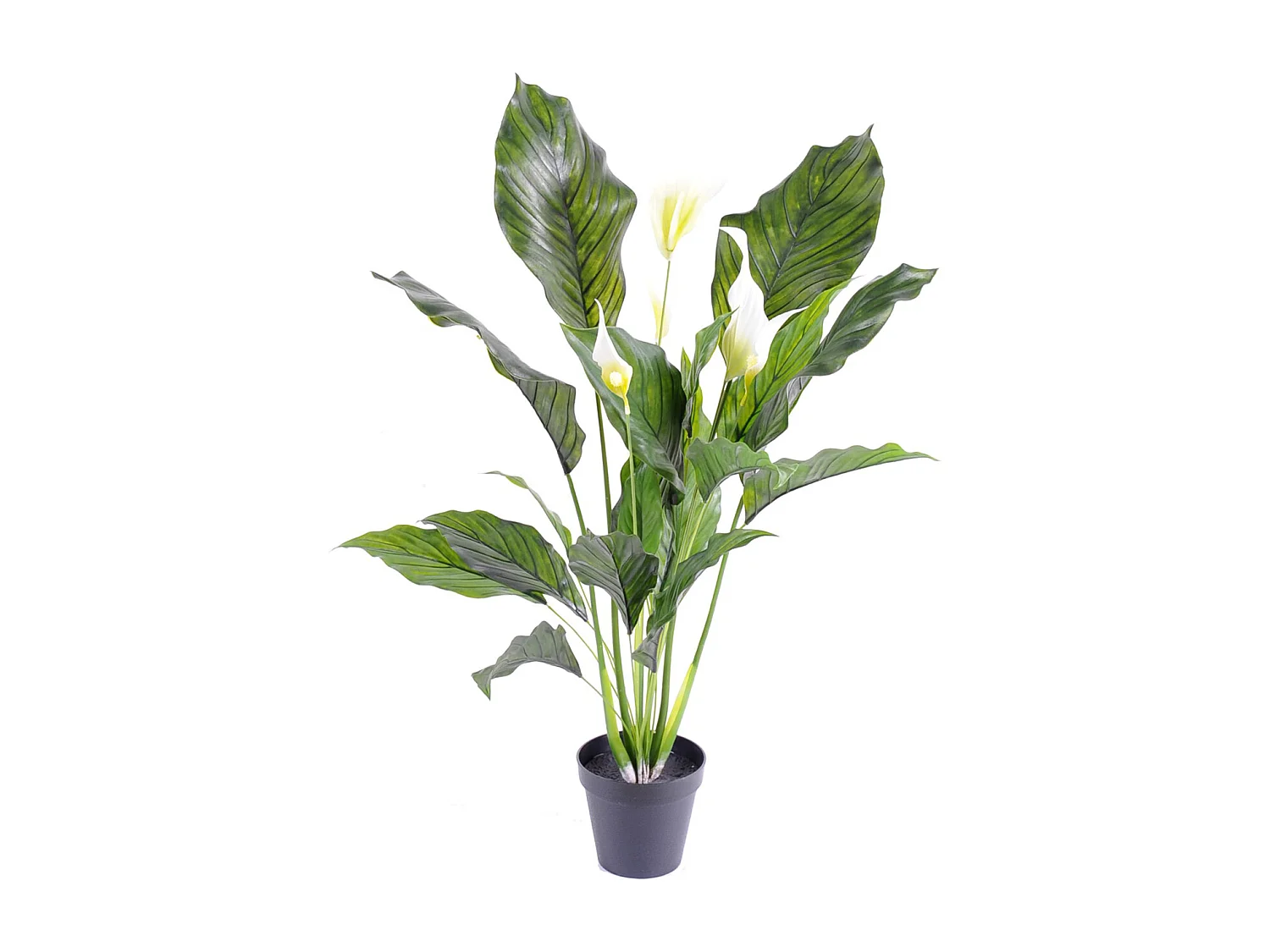 Plante artificielle haute gamme Spécial extérieur / SPATHIPHYLLUM Artificiel - Dim : 80 x 50 cm