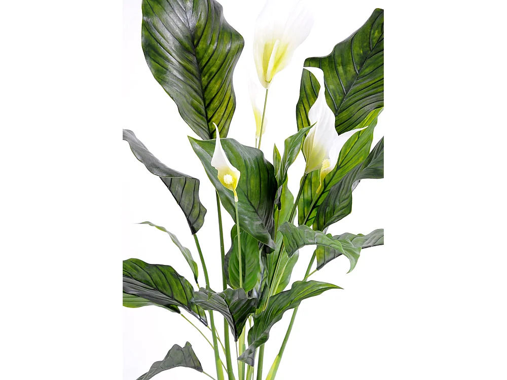 Plante artificielle haute gamme Spécial extérieur / SPATHIPHYLLUM Artificiel - Dim : 80 x 50 cm