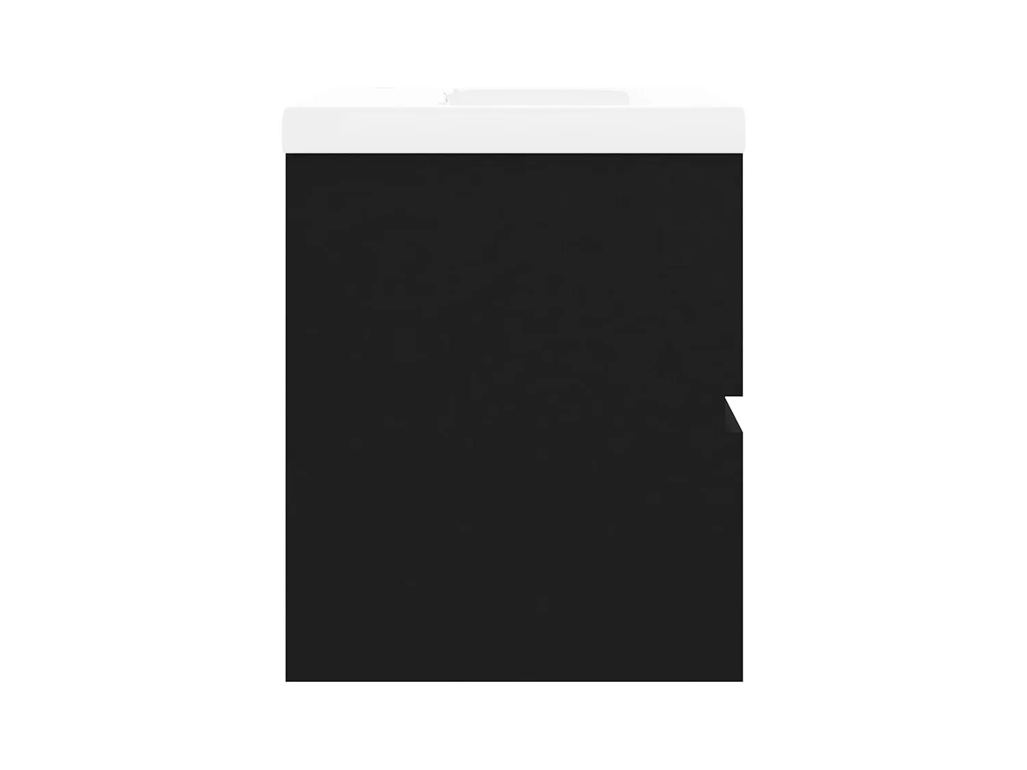 Prolenta Premium -  Armoire d'évier avec lavabo intégré Noir Aggloméré