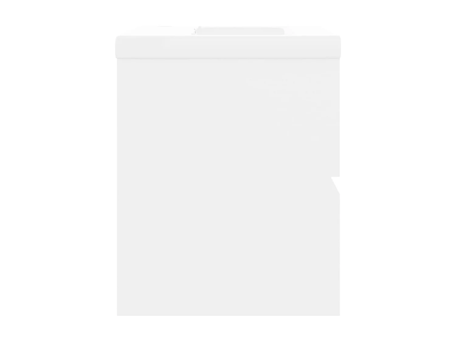 Prolenta Premium -  Armoire d'évier avec lavabo intégré Blanc Aggloméré