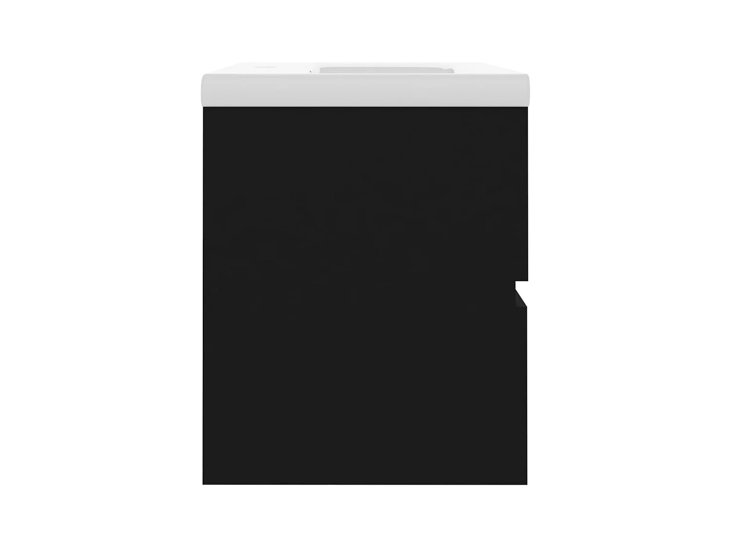 Prolenta Premium -  Armoire d'évier avec lavabo intégré Noir Aggloméré