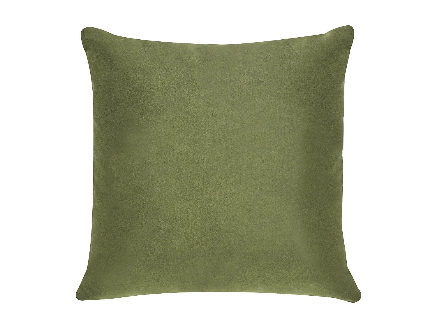 Fauteuil LUVOS Fluweel Groen