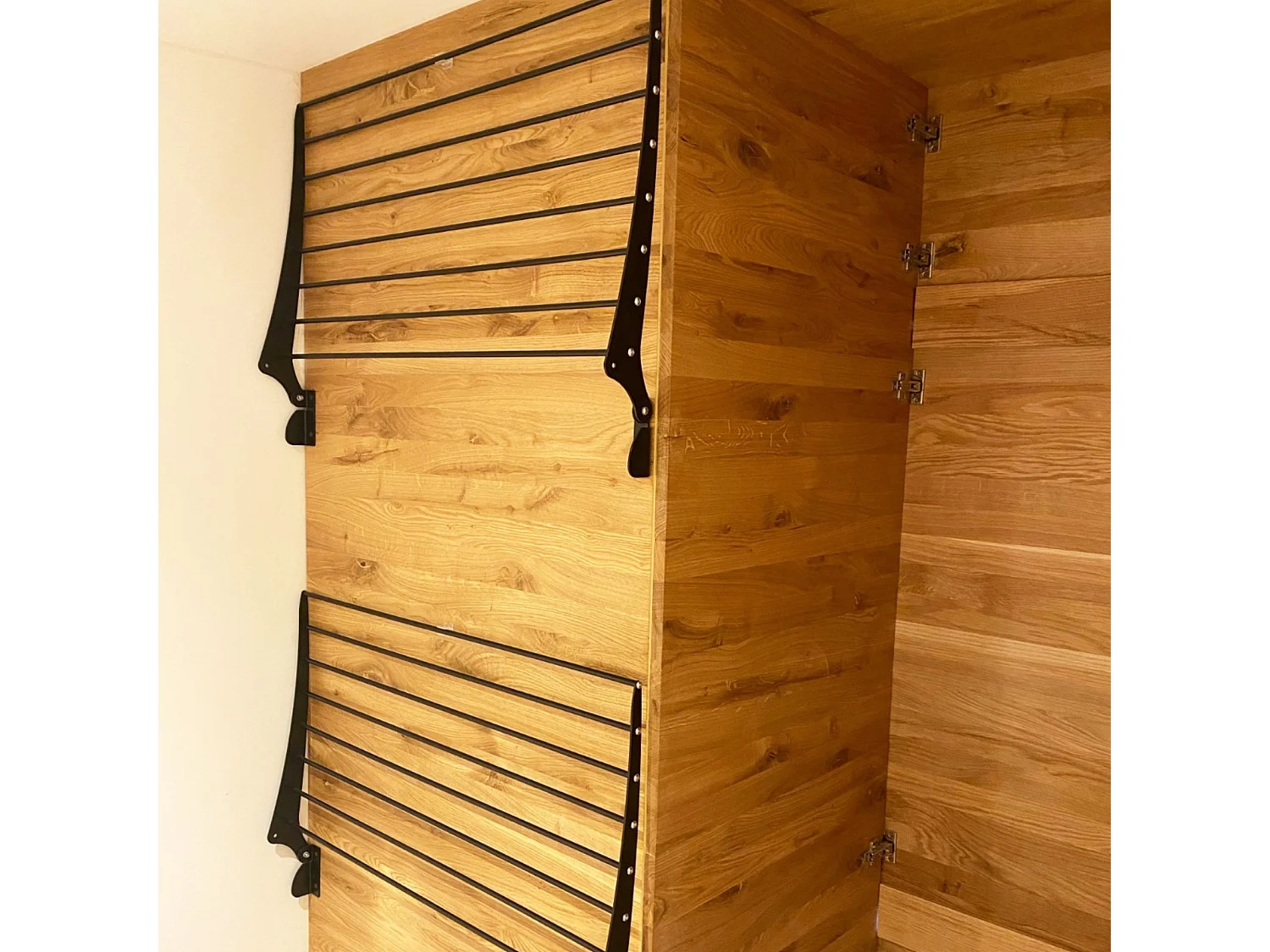 Étendoir à linge mural pour intérieur et extérieur – noir – 100x50x10 cm Fold 100